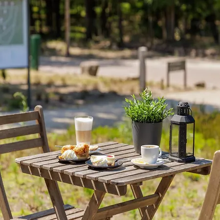 Detached Forest With Dishwasher, Located In De Veluwe * Hoenderloo
