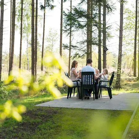 Detached Forest With Dishwasher, Located In De Veluwe * Hoenderloo