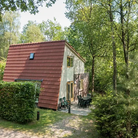 Detached Forest With Dishwasher, Located In De Veluwe * Hoenderloo