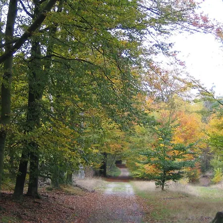 Detached Forest With Dishwasher, Located In De Veluwe Holiday home