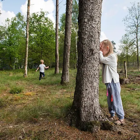 Detached Forest With Dishwasher, Located In De Veluwe Holiday home *